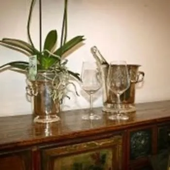 Ca' Dei Polo Venetië